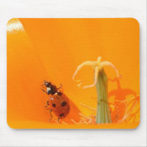 Ladybug and Poppy Mousepad