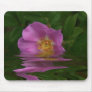 Ladybug and Rose Mouse Mat
