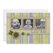 Ladybug and stripes  Photo Gift Greeting Personalized Invites