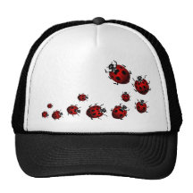 Ladybug  Art Caps Hats Ladybug Wildlife Art Hat