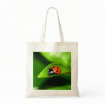 Ladybug bags