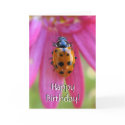Ladybug Birthday Card