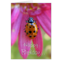 Ladybug Birthday Card