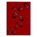 Ladybug Card Custom Ladybug Art Card - Blank