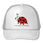 Ladybug Crossing Hat