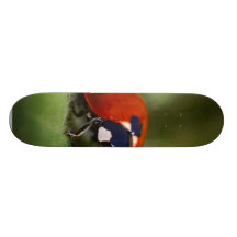 Ladybug Custom Skate Board