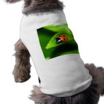 Ladybug pet clothing