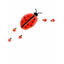 Ladybug Family t-shirts
