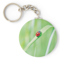 Ladybug in the Grass Keychains
