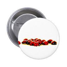 ladybug invasion pinback buttons