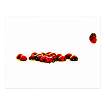 ladybug invasion post card