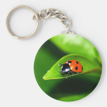 Ladybug Key Chain
