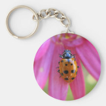 Ladybug Keychain