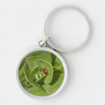 Ladybug Keychain