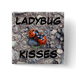 Ladybug Kisses buttons