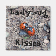 Ladybug Kisses Fridge Magnets
