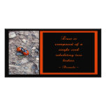 Ladybug Kisses photo cards