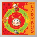 Ladybug Life Cylce Poster for Kids