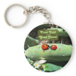 Ladybug Love keychains