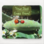 Ladybug Love