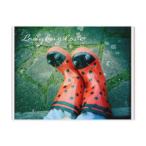 Ladybug love post card