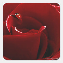 Ladybug Love Square Stickers