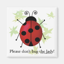 Ladybug Magnets