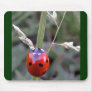 Ladybug Mousepad