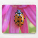 Ladybug Mousepad