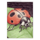 Ladybug notecard