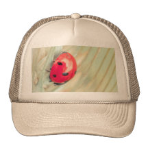 Ladybug on a spike mesh hat