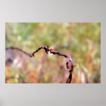 Ladybug on barbed wire poster