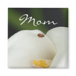Ladybug on Calla Lilly Square Magnet