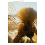Ladybug on the rise cards
