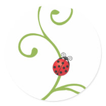 Ladybug on Vine