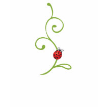 Ladybug on Vine