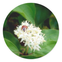 LadyBug on White Flowers Stickers