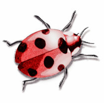 Ladybug Photo Cutouts