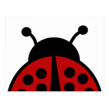 Ladybug post card