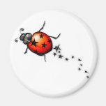 Ladybug Rockstar Refrigerator Magnets