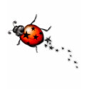 Ladybug Rockstar t-shirts