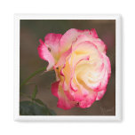 Ladybug Rose Magnet