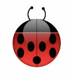 Ladybug Series 1 Photo Sculpture photo sculptures