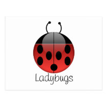 Ladybug Series 2 Postcard postcards