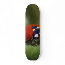 Ladybug Custom Skate Board