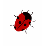 Ladybug Tops t-shirts