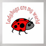 Ladybugs are my World Print