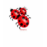 Ladybugs Girls Tee t-shirts