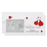 Ladybugs in Love Valentine Photo Cards photo cards