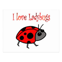 Ladybugs Post Card
